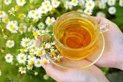 
بابونە؛ یک گیاە و هزار خاصیت
