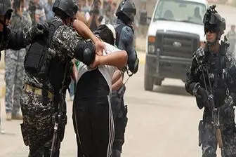 بازداشت ۱۱ داعشی در عراق

