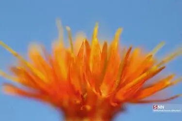 2070963_288