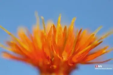 2070963_288