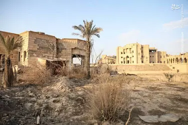 l3zw6ma96g7M