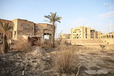 l3zw6ma96g7M