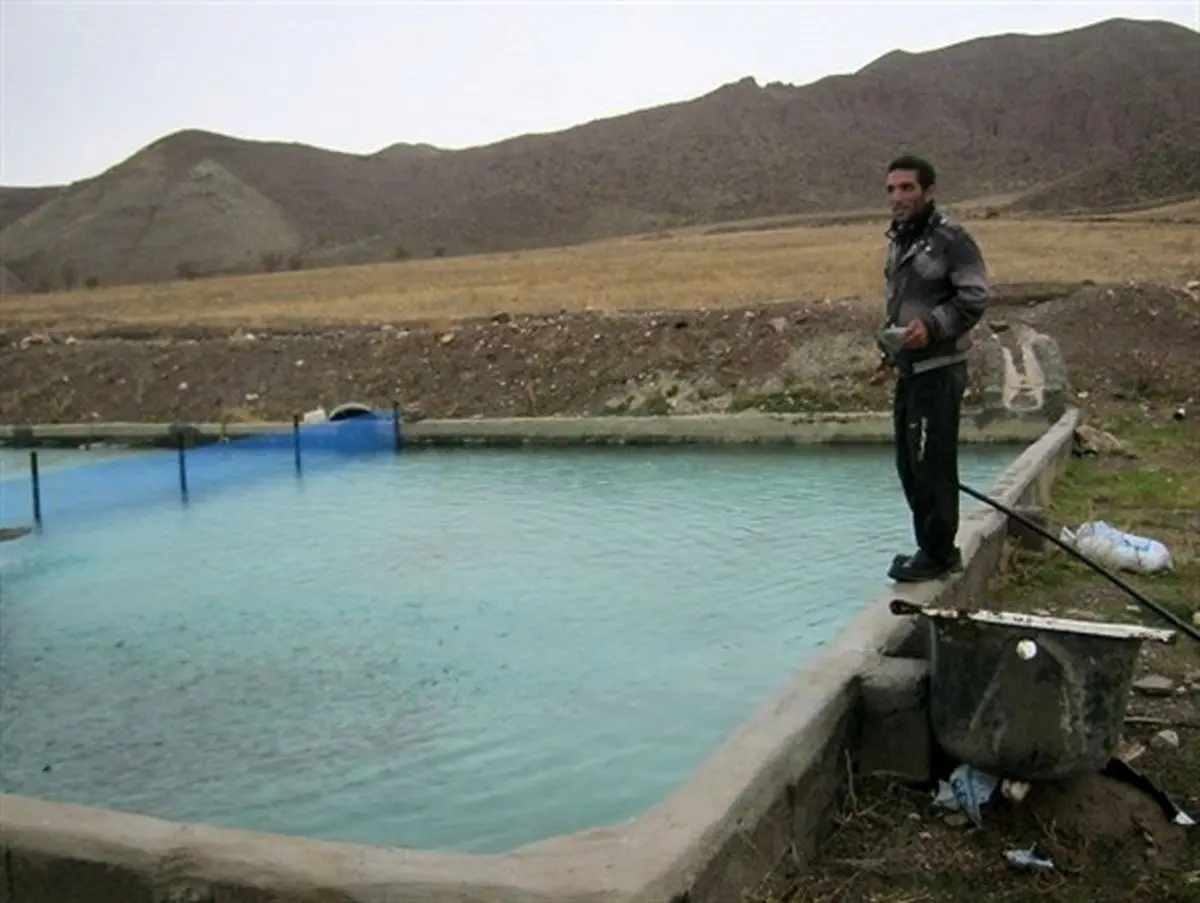 واردات بی رویه مشکل اصلی پرورش دهندگان ماهی در زنجان