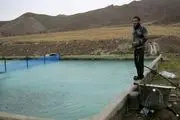 واردات بی رویه مشکل اصلی پرورش دهندگان ماهی در زنجان