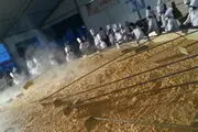 بزرگترین املت جهان گینسی شد