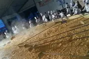 بزرگترین املت جهان گینسی شد
