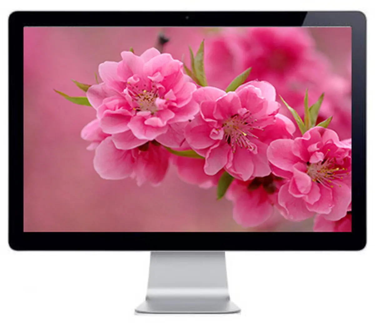 پوسته‌ی بهاری برای ویندوز ۷ و ۸ + دانلود