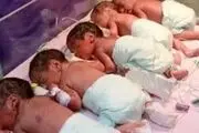 تولد نادر ۵ قلوها؛ مادر ۳۱ ساله صاحب ۹ فرزند شد
