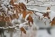 برف و باران میهمان این هفته مردم ایلام 