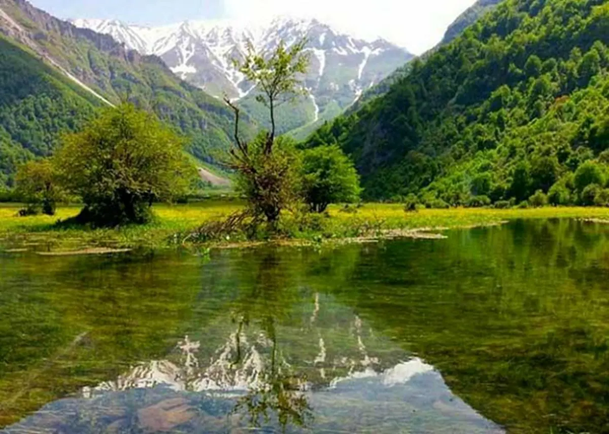 جنگل دوهزار و سه هزار؛ سفری به اعماق مازندران