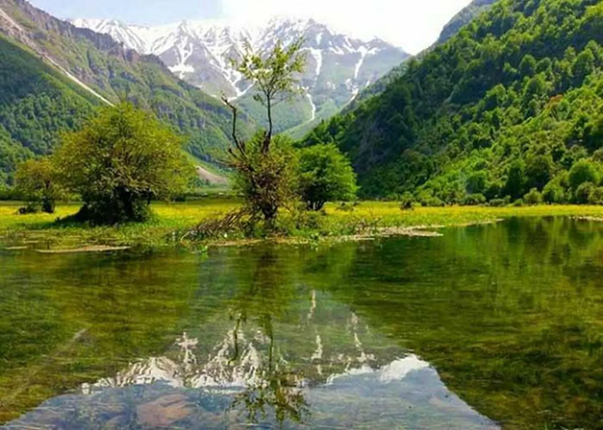 جنگل دوهزار و سه هزار؛ سفری به اعماق مازندران