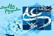 طرح زیارت نیابتی حرم مطهر امام علی (ع) در یک برنامه تلویزیونی