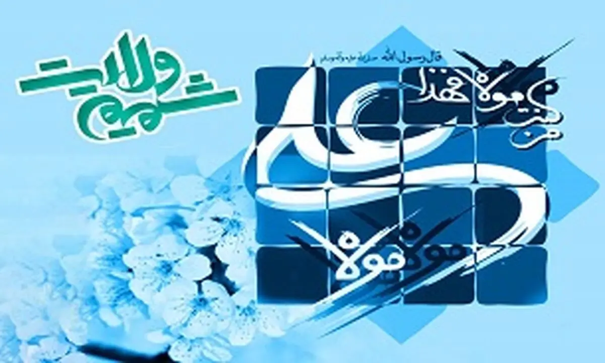 طرح زیارت نیابتی حرم مطهر امام علی (ع) در یک برنامه تلویزیونی