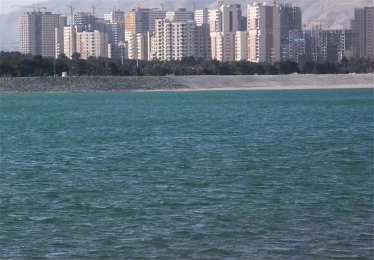 معاون آقای وزیر واقعیت را به جامعه نمی گوید!