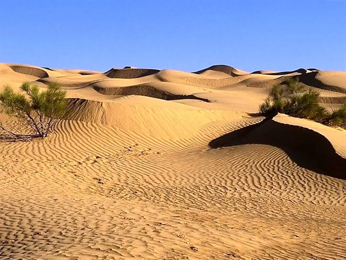 بیابان، عروس زاگرس را می بلعد