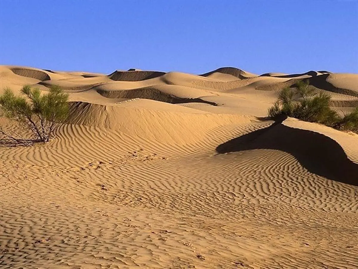 بیابان، عروس زاگرس را می بلعد