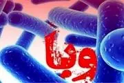 ابتلای ۳۷ مورد قطعی به وبا در کشور؛ هیچ مورد فوت ناشی از وبا گزارش نشده است
