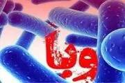 ابتلای ۳۷ مورد قطعی به وبا در کشور؛ هیچ مورد فوت ناشی از وبا گزارش نشده است
