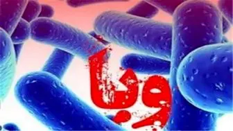 ابتلای ۳۷ مورد قطعی به وبا در کشور؛ هیچ مورد فوت ناشی از وبا گزارش نشده است
