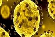      

کرونا از طریق هوا به چشم منتقل می‌شود؟
