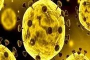 ۱۰ راه انتقال سریع ویروس کرونا 