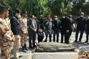پیکر پیشکسوت سینمای ایران به خاک سپرده شد
