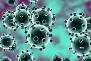 تماشای عملیات ضدعفونی خیابان‌ها/ عکس