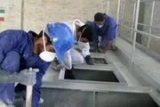 تصاحب مشاغل استان توسط نیروهای کارغیرقانونی 