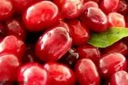 این نوع زغال اخته را هرگز نخورید