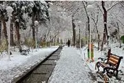 زیبایی های مشهد در زمستان