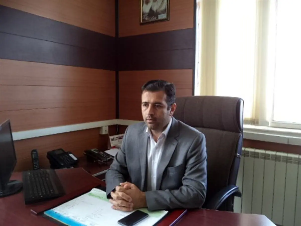 اصلاح نژاد گوسفند افشار در ایجرود