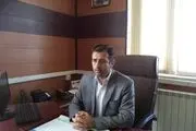 اصلاح نژاد گوسفند افشار در ایجرود