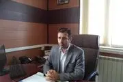 اصلاح نژاد گوسفند افشار در ایجرود