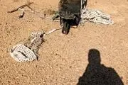  هرکس خلبان آمریکایی را زنده بگیرد پاداش ارزشمندی دریافت خواهد کرد