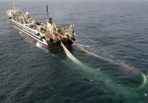 چد فروند کشتی صید ترال در بندرعباس توقیف شد