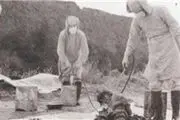 ماجرای کالبد‌شکافی زنده اسرای جنگی!