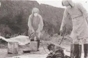 ماجرای کالبد‌شکافی زنده اسرای جنگی!