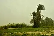 توفان امیدیه خوزستان را در نوردید
