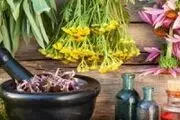 کلیه هایتان را با این گیاهان به طور طبیعی تقویت کنید
