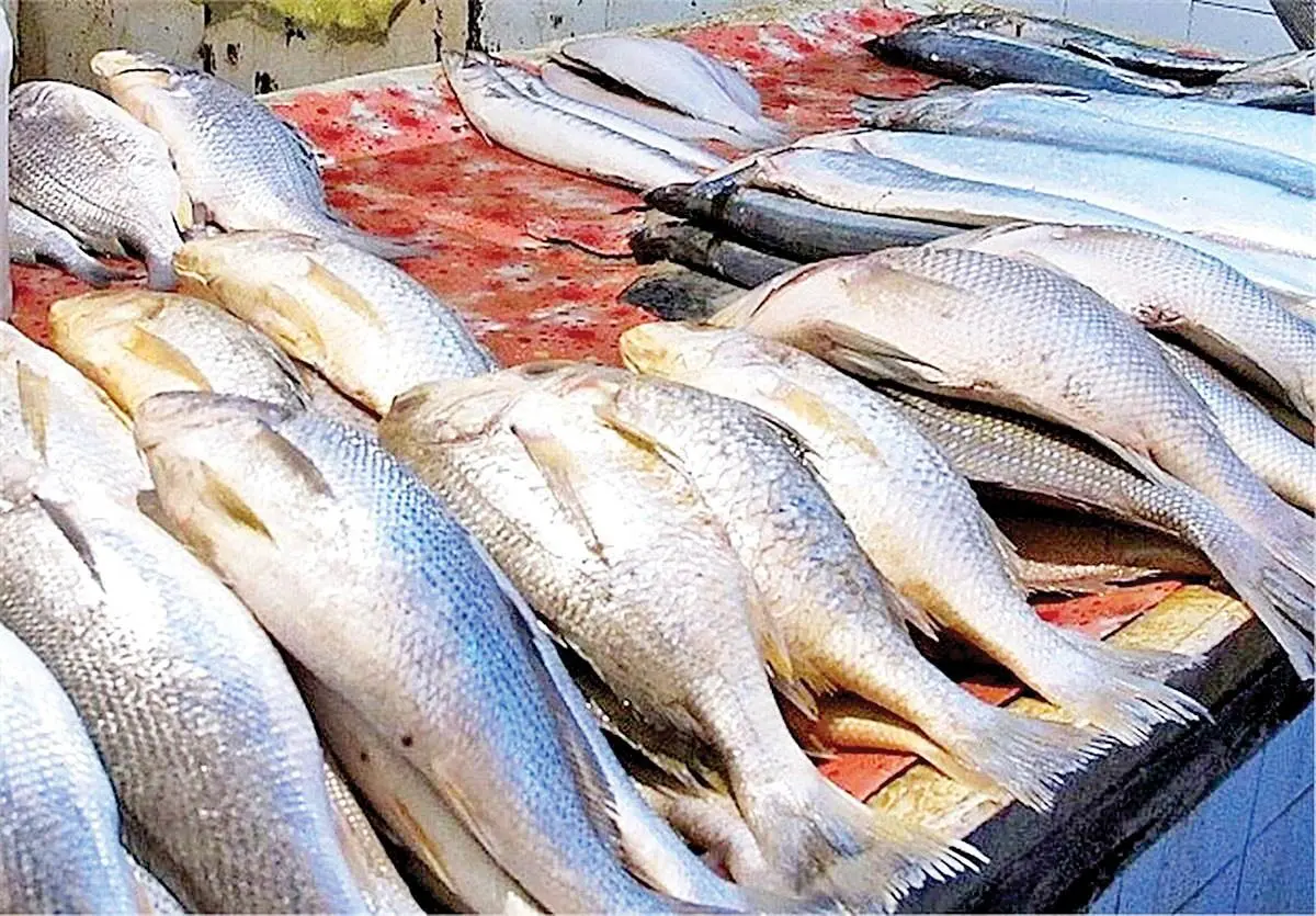 هزینه خرید ماهی در بازار چقدر است؟
