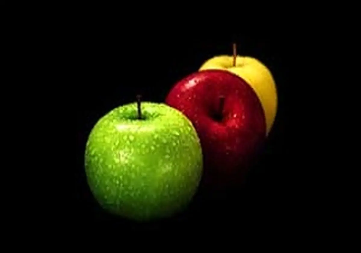 6 صبحانه مغذی که نباید آن را فراموش کنید!