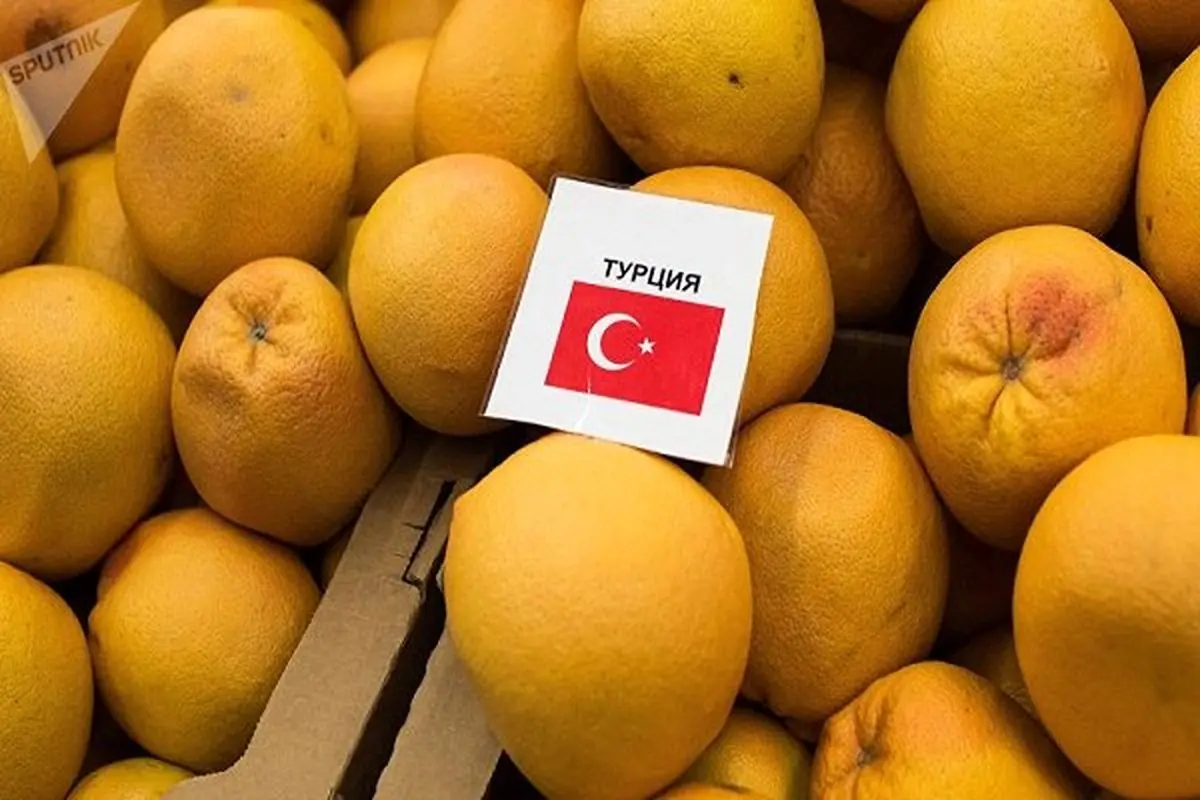 آنکارا مسکو را  تهدید کرد