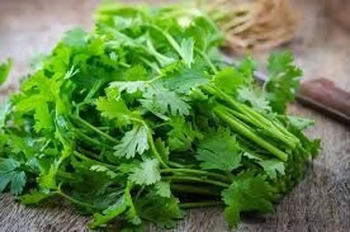 مراحل صحیح شست و شوی سبزی را بهتر بشناسید
