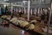عواقب جبران ناپذیر وضعیت کنونی کشتارگاه شهربابک بر سلامت شهروندان