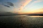 آبگیری تالاب صالحیه چه زمانی پایان می پذیرد؟