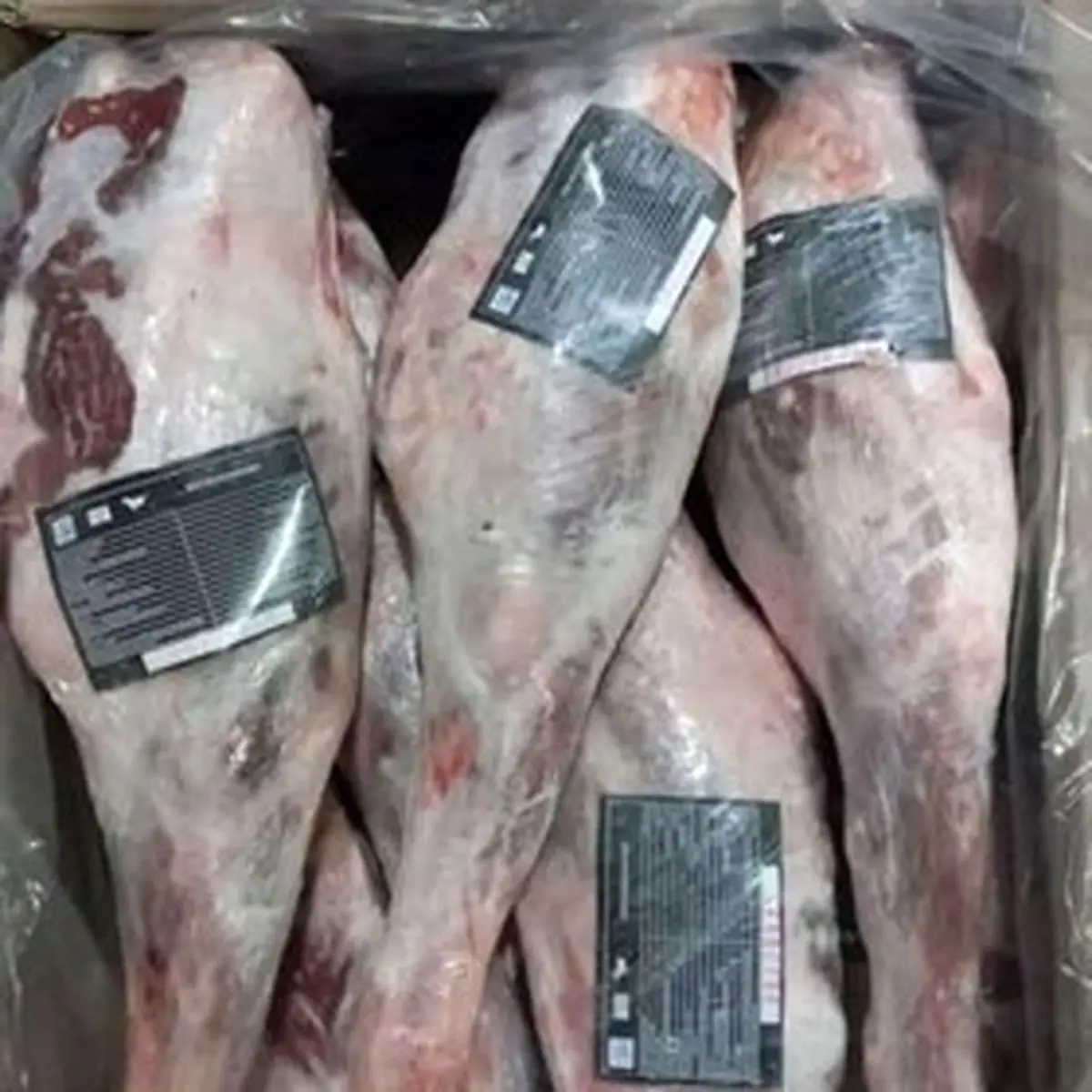 عرضه گسترده گوشت منجمد گوسفندی از چه زمانی؟