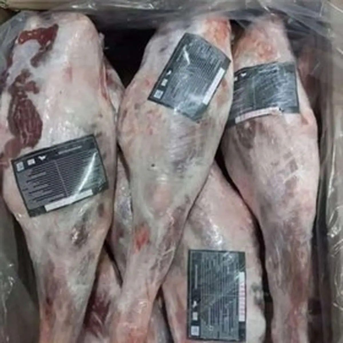 عرضه گسترده گوشت منجمد گوسفندی از چه زمانی؟