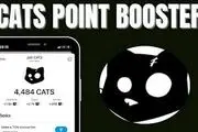 جواب کد یوتیوب boost your cats earnings در کتز