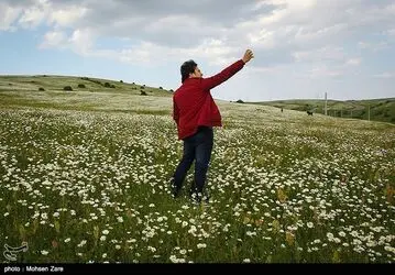طبیعت