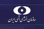 دوربین‌های فراپادمانی آژانس در یکی از مراکز هسته‌ای قطع شد